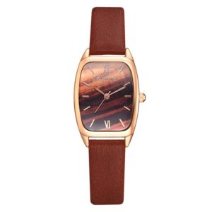 Brown Colour Watches